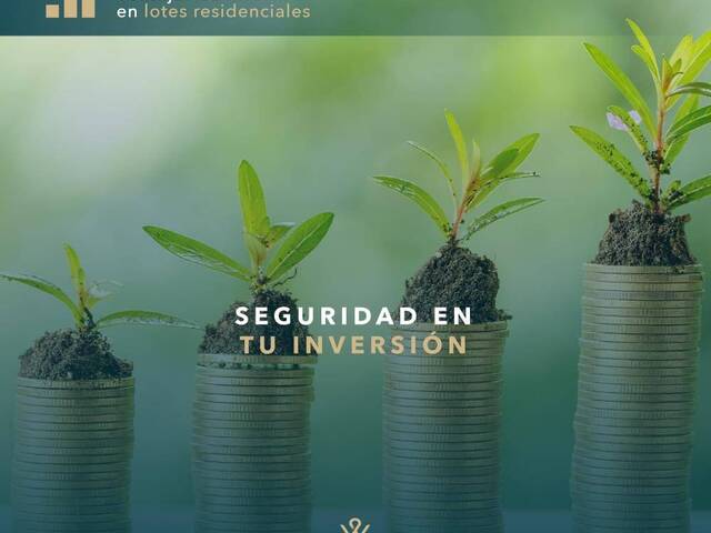 #318 - Lotes para Venta en Telchac Puerto - YN - 3